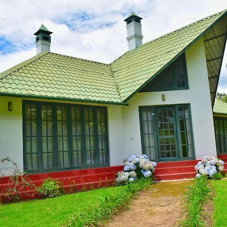 Camp Noel Hotel Munnar Exterior foto